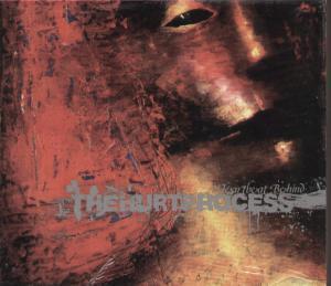 Hurt Process - A Heartbeat Behind - Cd