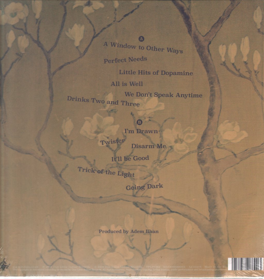 Marry Waterson And Emily Barker - A Window To Other Ways - Lp