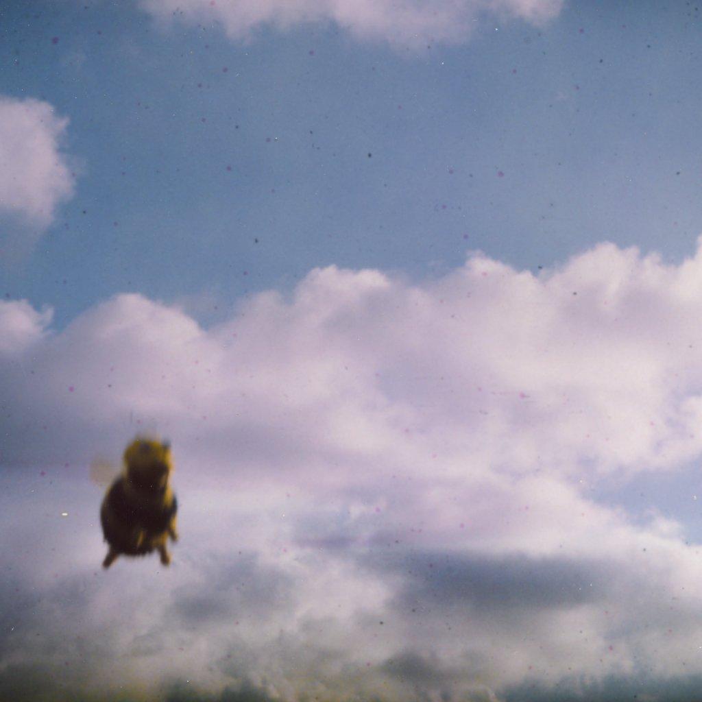 Pond - Stung! (Splatter Bee Vinyl) - Double Lp