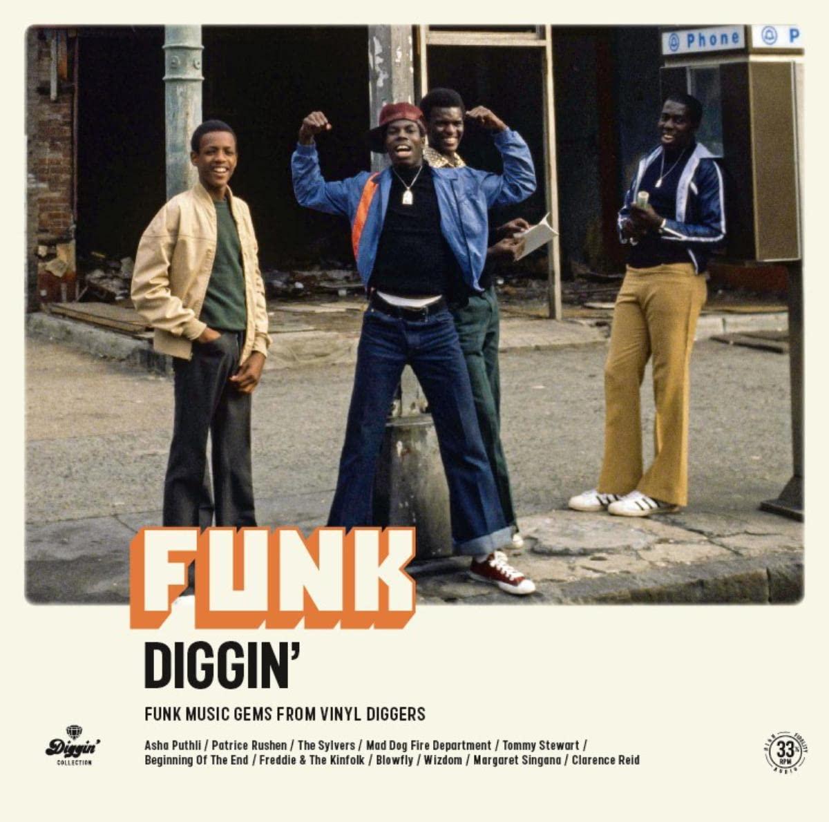Various Artists - Funk Diggin' - Funk Music Gems From Vinyl Diggers - Lp