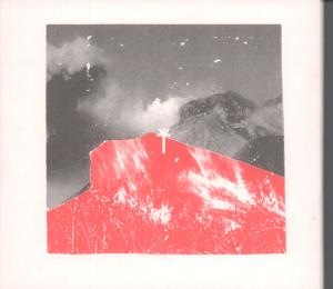 Wu Lyf - Go Tell Fire To The Mountain - Cd