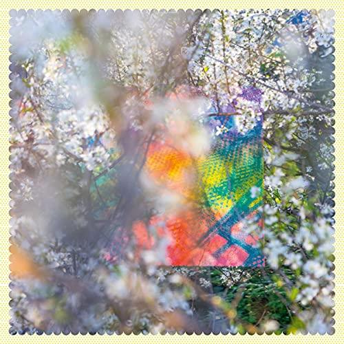 Four Tet - Sixteen Oceans (Vinyl) - Double Lp