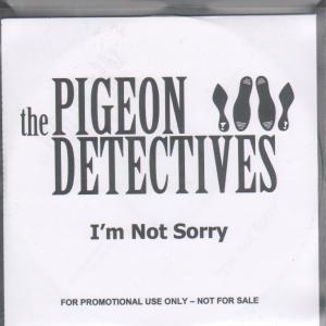 Pigeon Detectives - I'm Not Sorry - Cdr