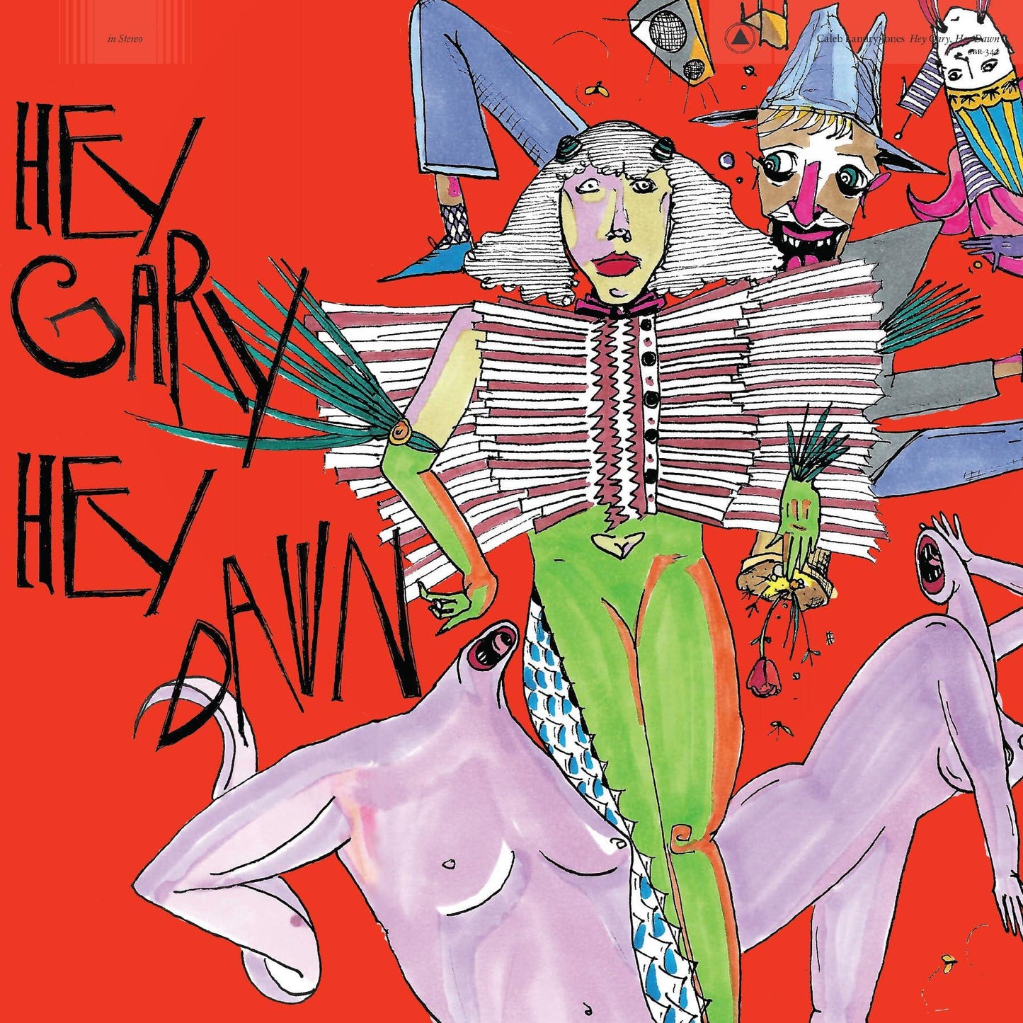 Caleb Landry Jones - Hey Gary, Hey Dawn - Cd
