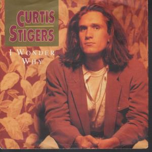 Curtis Stigers - I Wonder Why - 7 Inch
