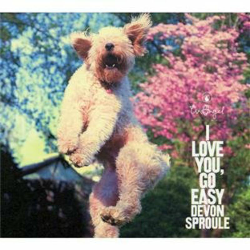 Devon Sproule - I Love You, Go Easy - Cd