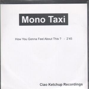 Mono Taxi - How You Gonna Feel About This - Cdr