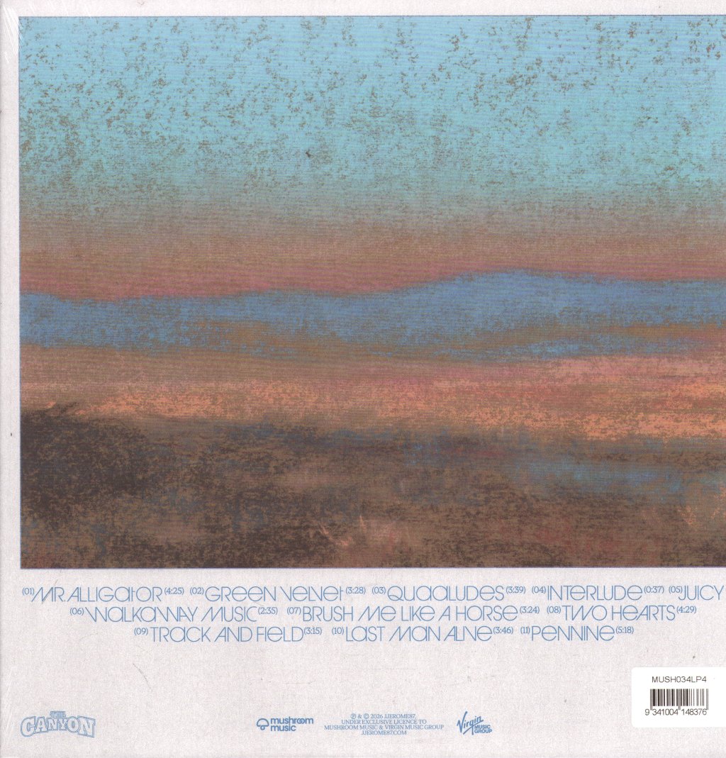 JJerome87 - The Canyon (Dinked Edition #406) - Lp
