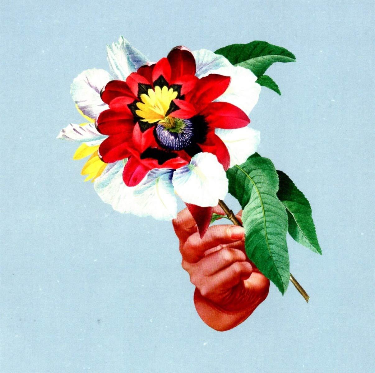 Maribou State - Kingdoms In Colour - Cd