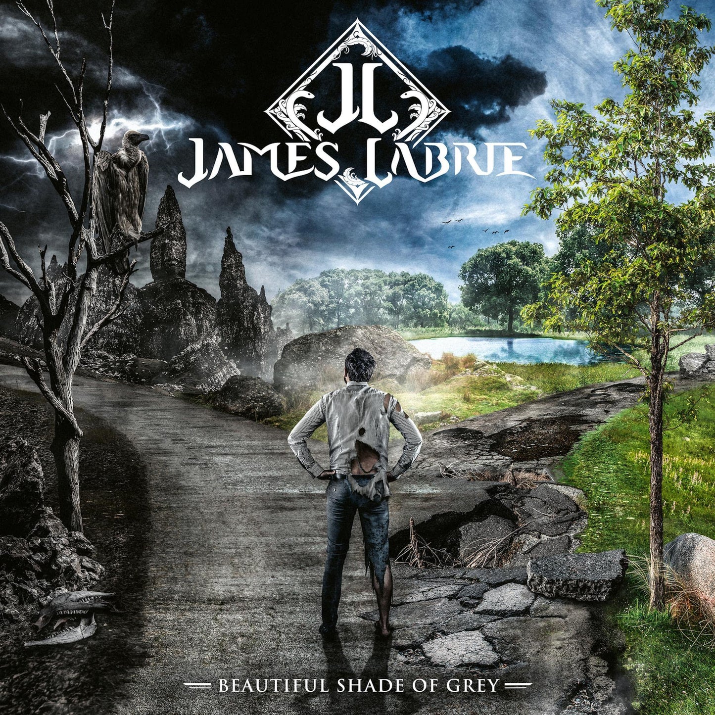 James Labrie - Beautiful Shade of Grey - Lp