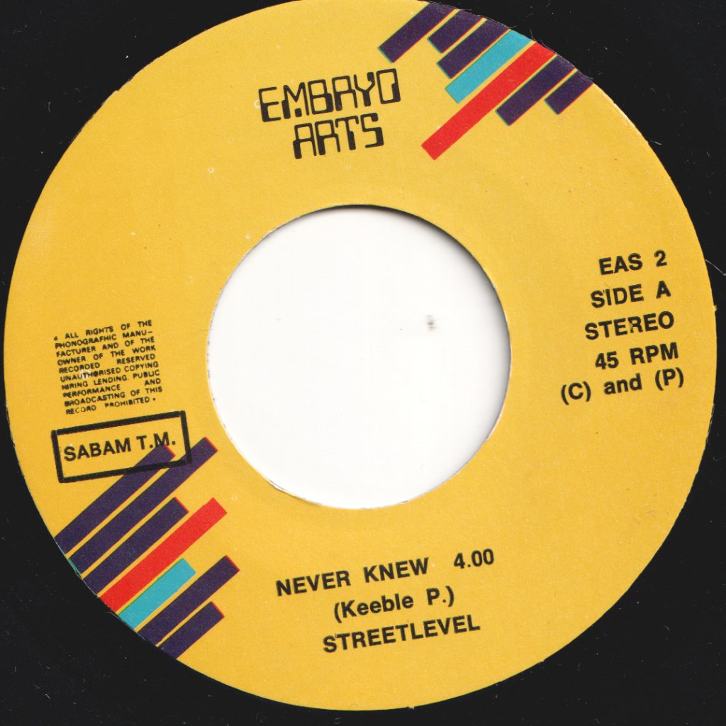 Street Level - Never Knew - 7 Inch