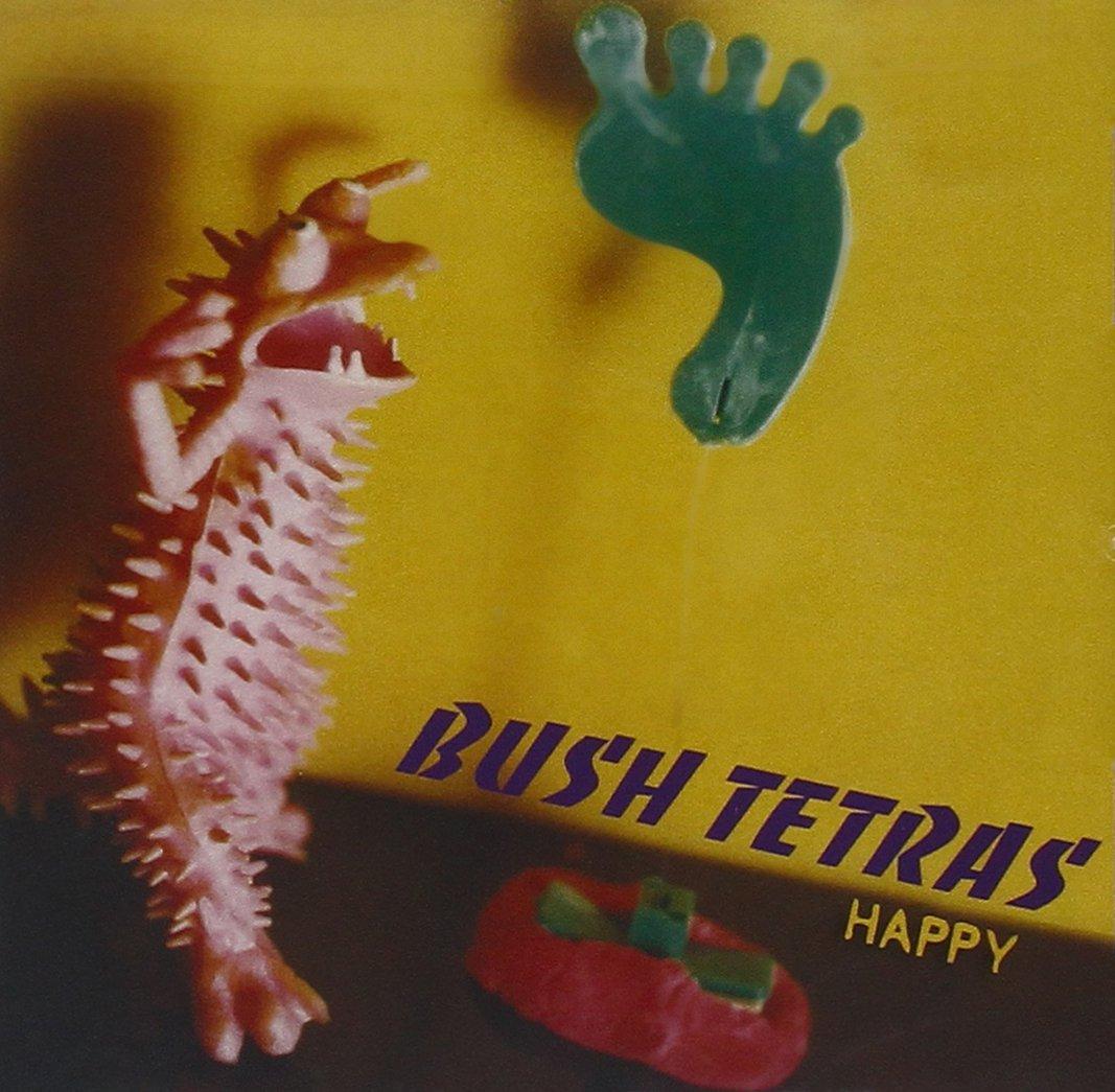 Bush Tetras - Happy - Cd