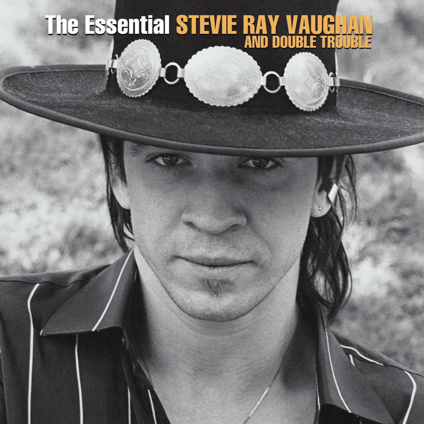 Stevie Ray Vaughan And Double Trouble - Essential Stevie Ray Vaughan and Double Trouble - Double Lp