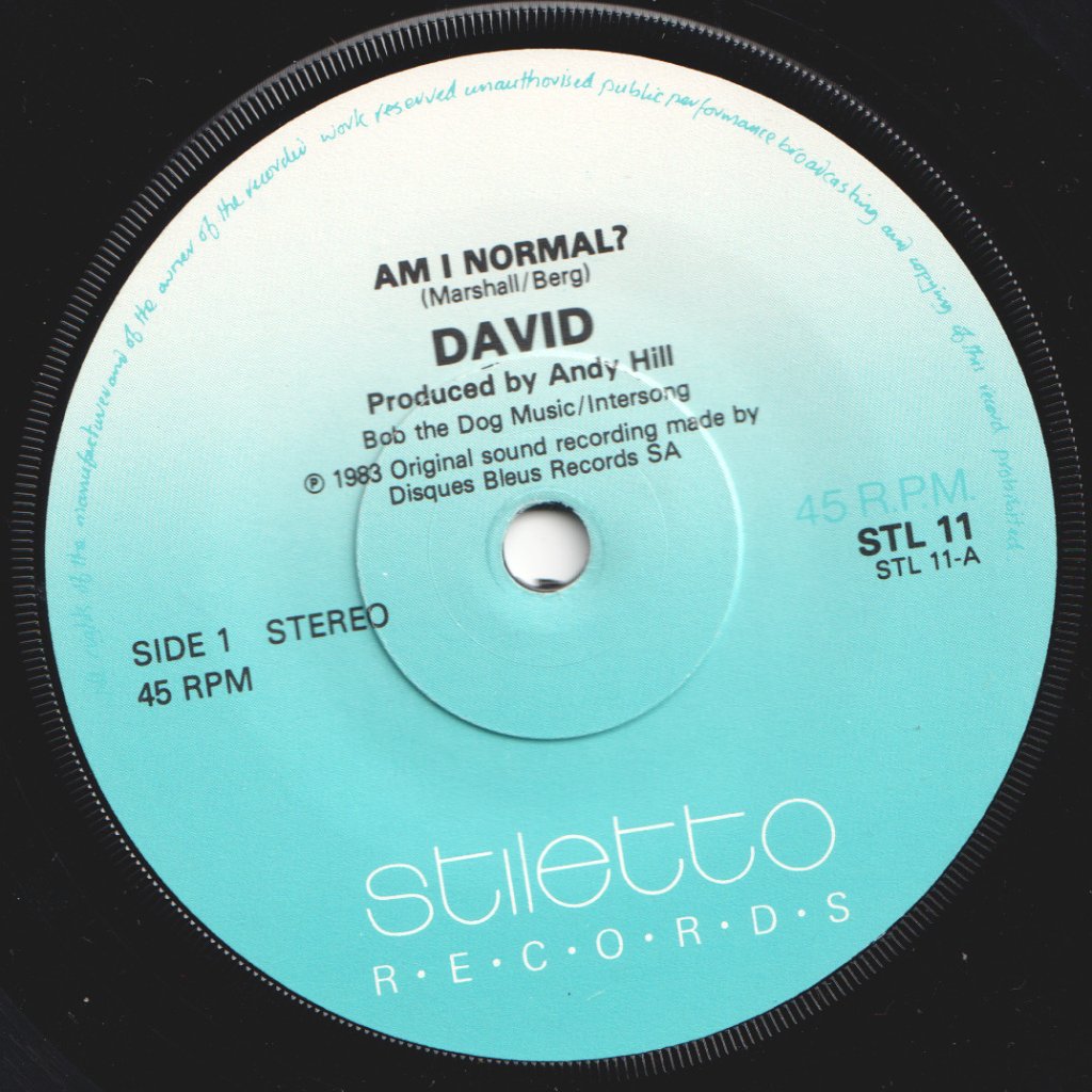 David (80'S Synth Pop) - Am I Normal - 7 Inch