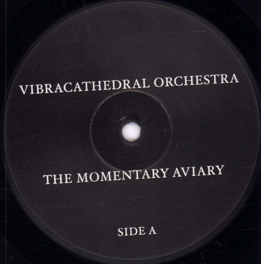 Vibracathedral Orchestra - Momentary Aviary - Lp