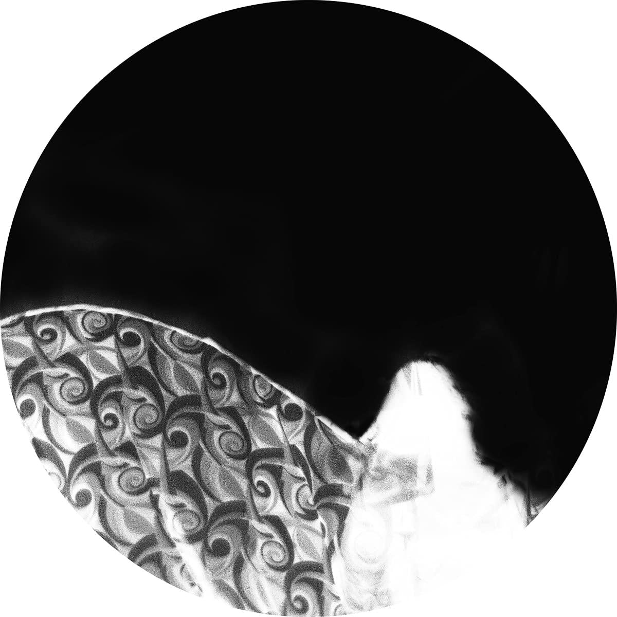 Ashtray Navigations - Before You Play This - Lp