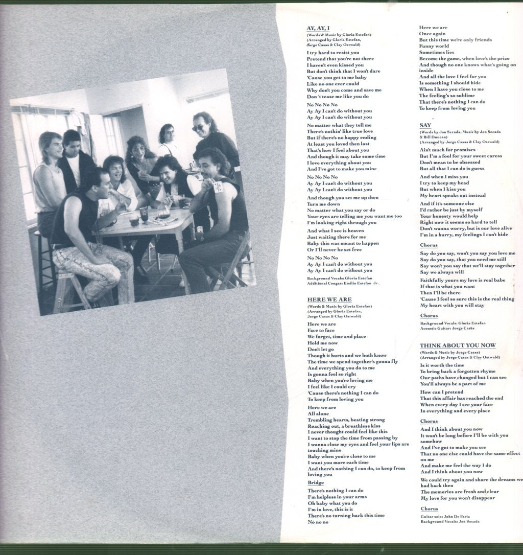 Gloria Estefan - Cuts Both Ways - Lp
