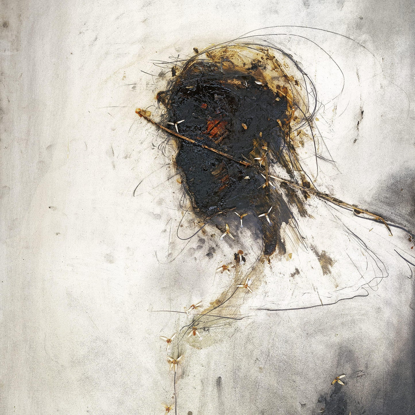 Peter Gabriel - Passion - Double Lp