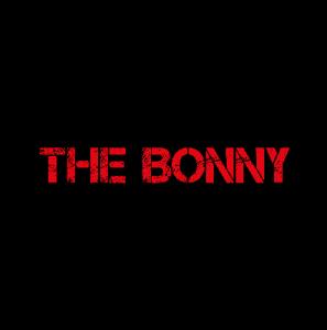 Gerry Cinnamon - Bonny - Lp