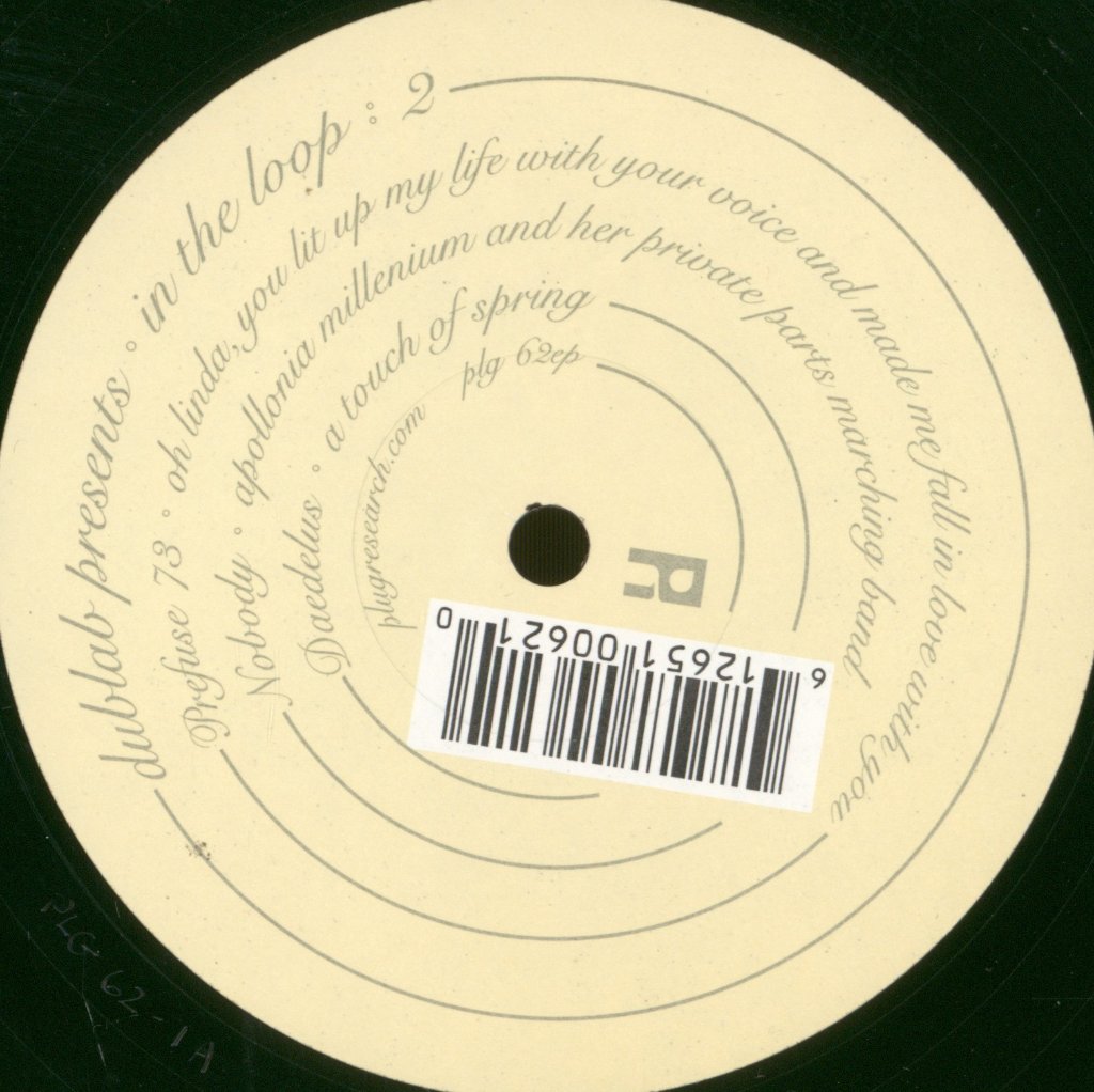 Various Artists - Dublab Presents In The Loop 2 - 12 Inch