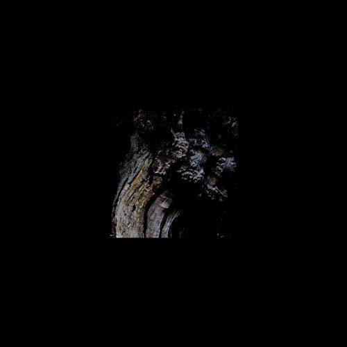 Brunnen - Garden of Perpetual Dreams - Lp