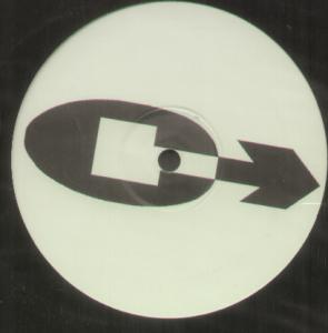 Course - Ain't Nobody - 12 Inch