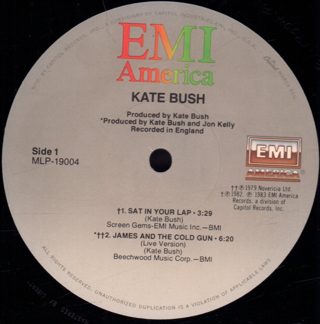 Kate Bush - Sat In Your Lap - Lp