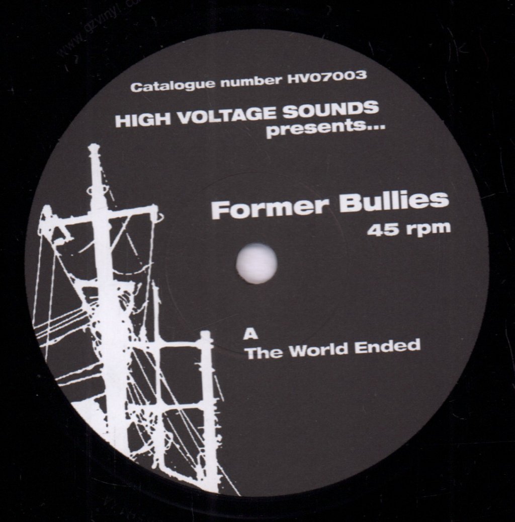 Former Bullies - World Ended - 7 Inch