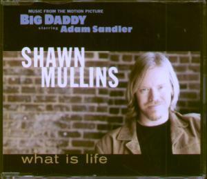 Shawn Mullins - What Is Life - Cd