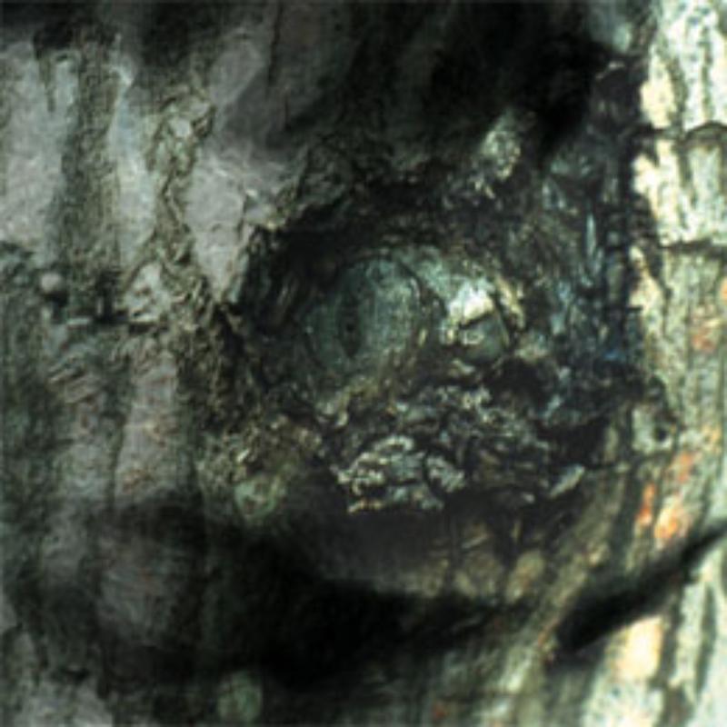 Yann Tiersen - Valse Des Monstres - Cd