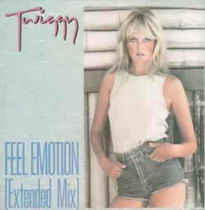 Twiggy - Feel Emotion - 12 Inch