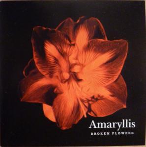 Broken Flowers - Amaryllis - Cd