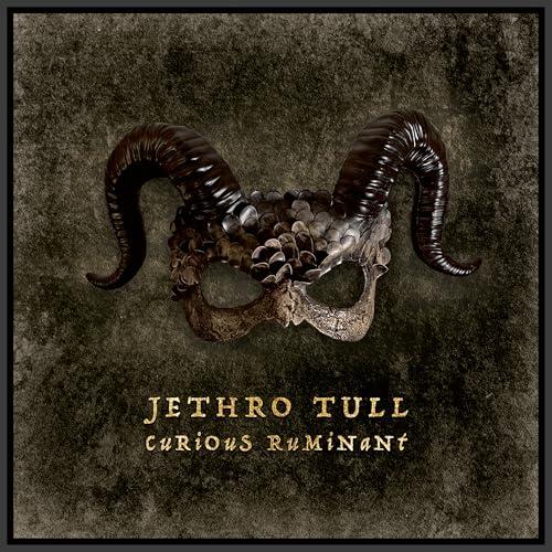 Jethro Tull - Curious Ruminant - Cd