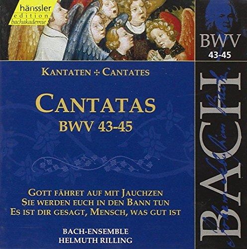 Johann Sebastian Bach - Bach: Cantatas, Bwv 43-45 (Edition Bachakademie Vol 15) /Rilling - Cd