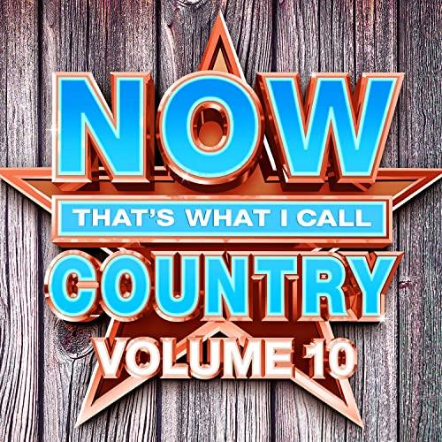 Now That's What I Call Country - Various Artists - Cd