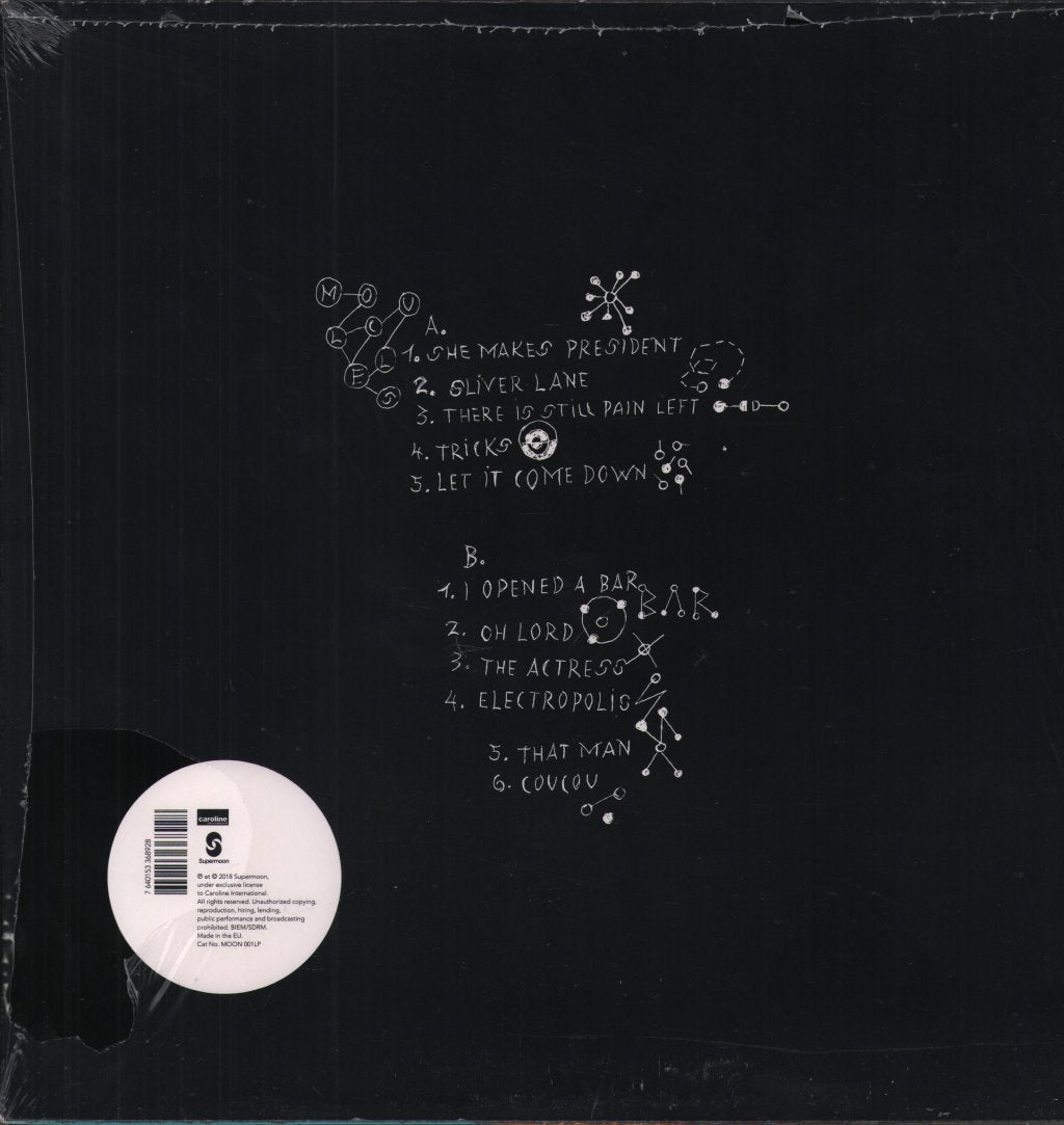 Sophie Hunger - Molecules - Lp