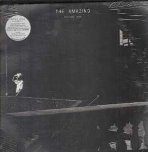 Amazing - Picture You - Double Lp