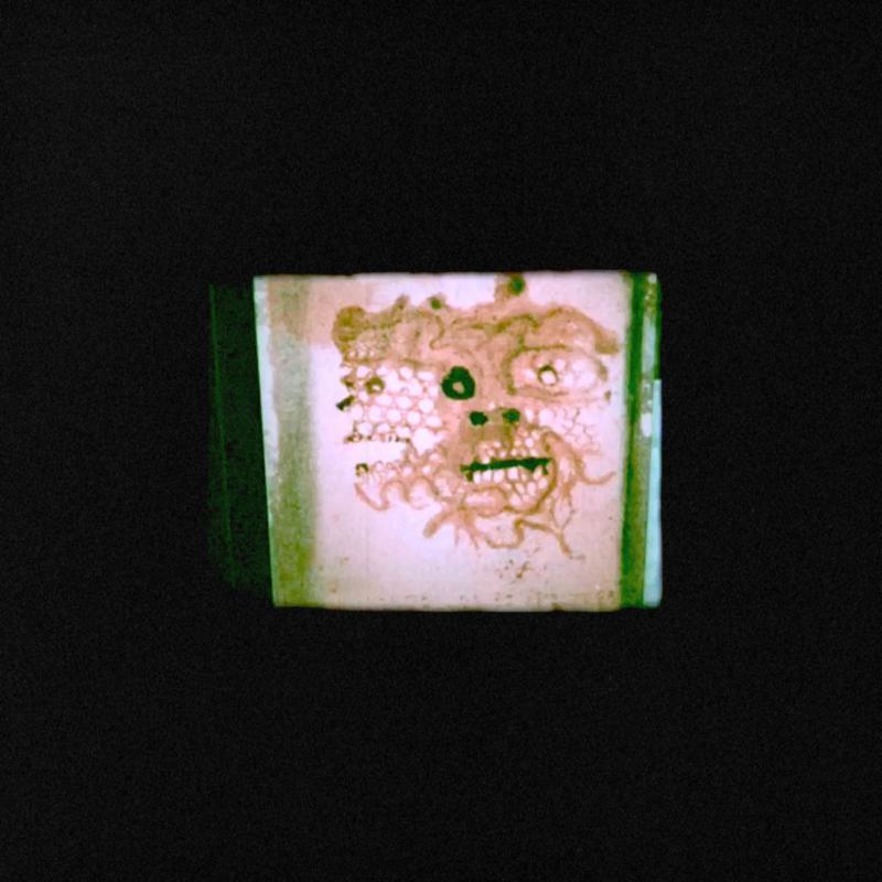 Chris Orrick And The Lasso - I Read That I Was Dead - Lp