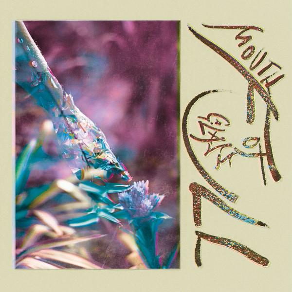 Macie Stewart - Mouth Full of Glass - Lp