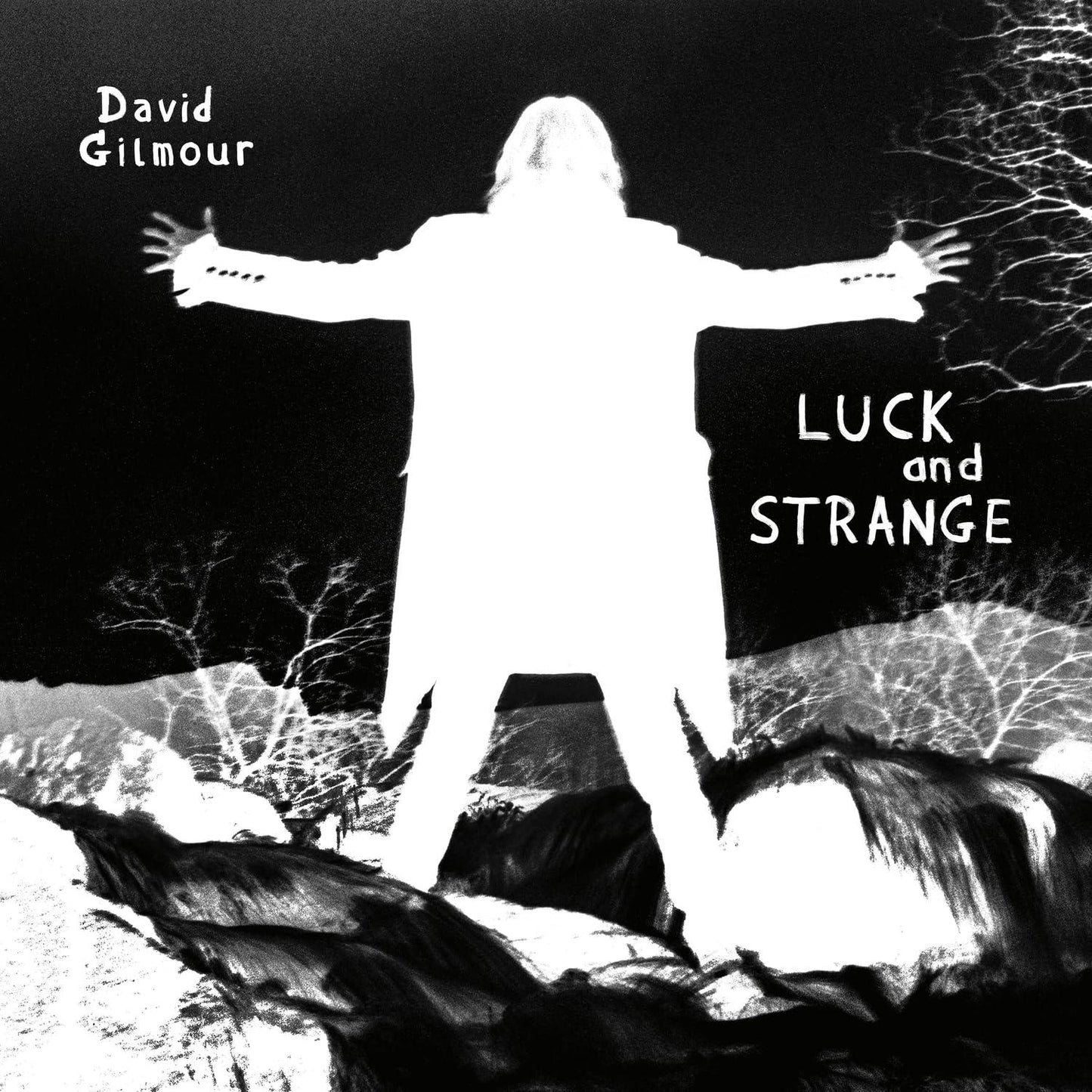 David Gilmour - Luck and Strange - Cd