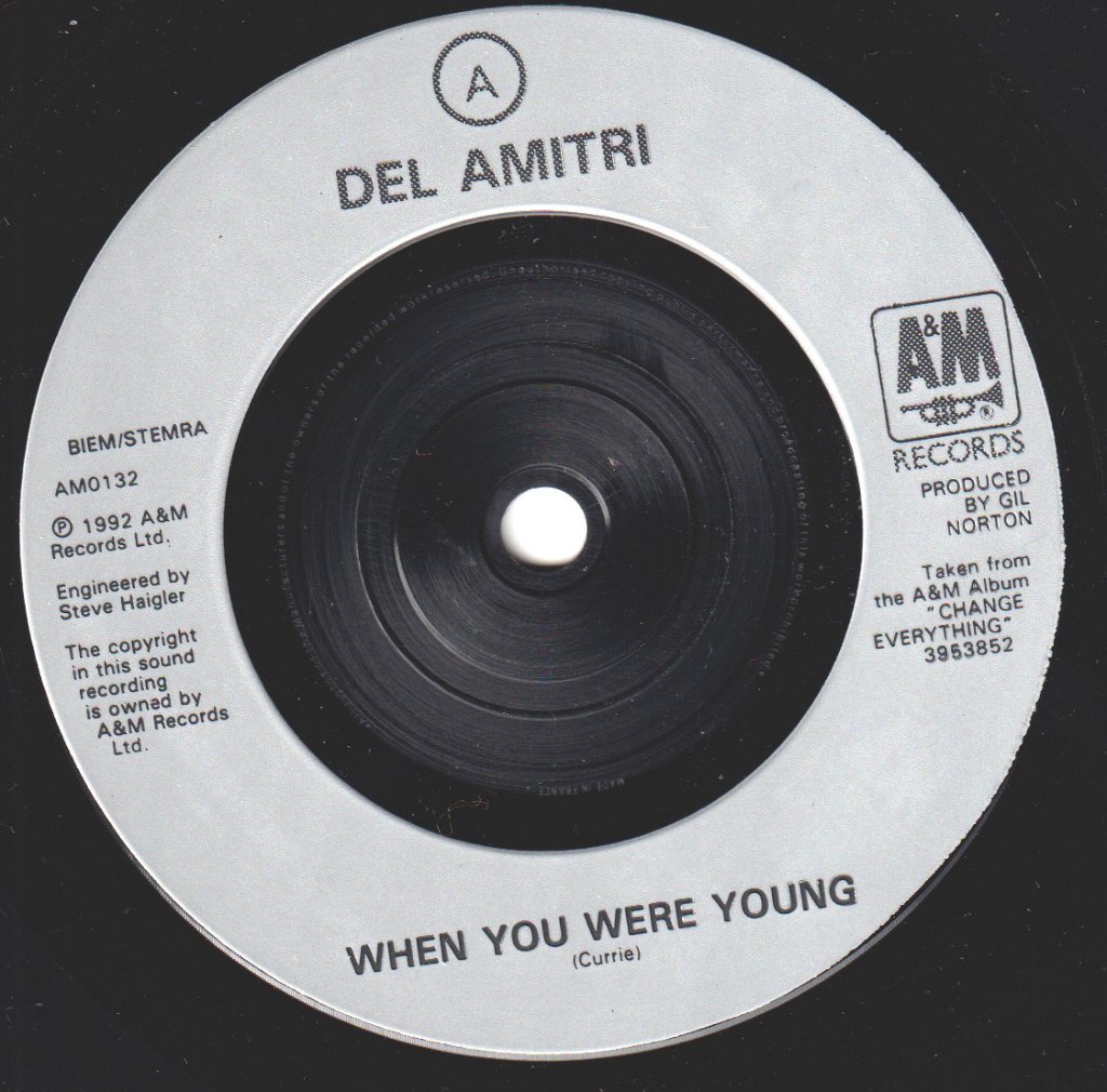 Del Amitri - When You Were Young - 7 Inch
