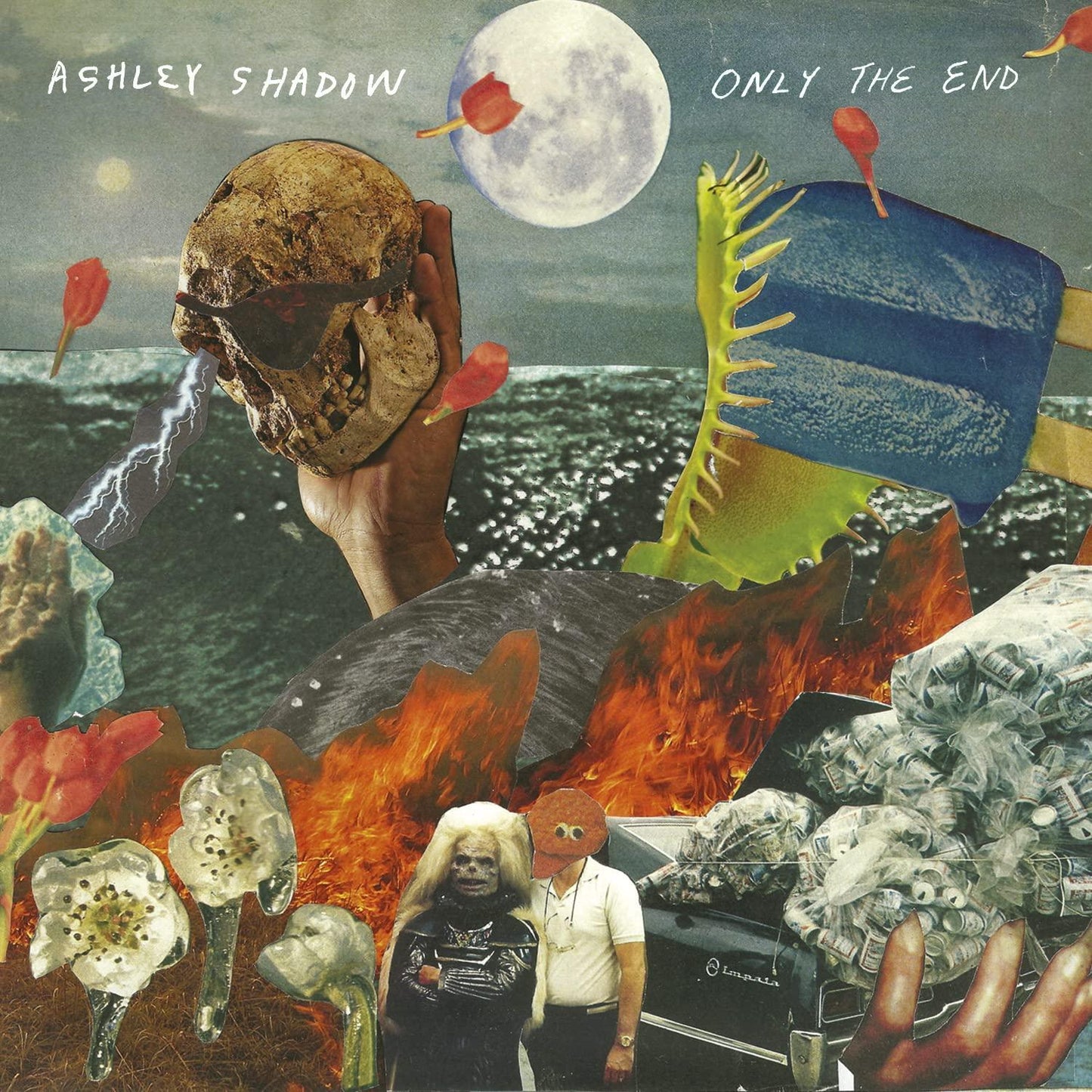 Ashley Shadow - Only the End - Cd