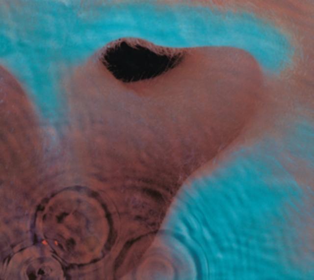 Pink Floyd - Meddle - Lp