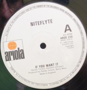 Niteflyte (80'S) - If You Want It - 12 Inch