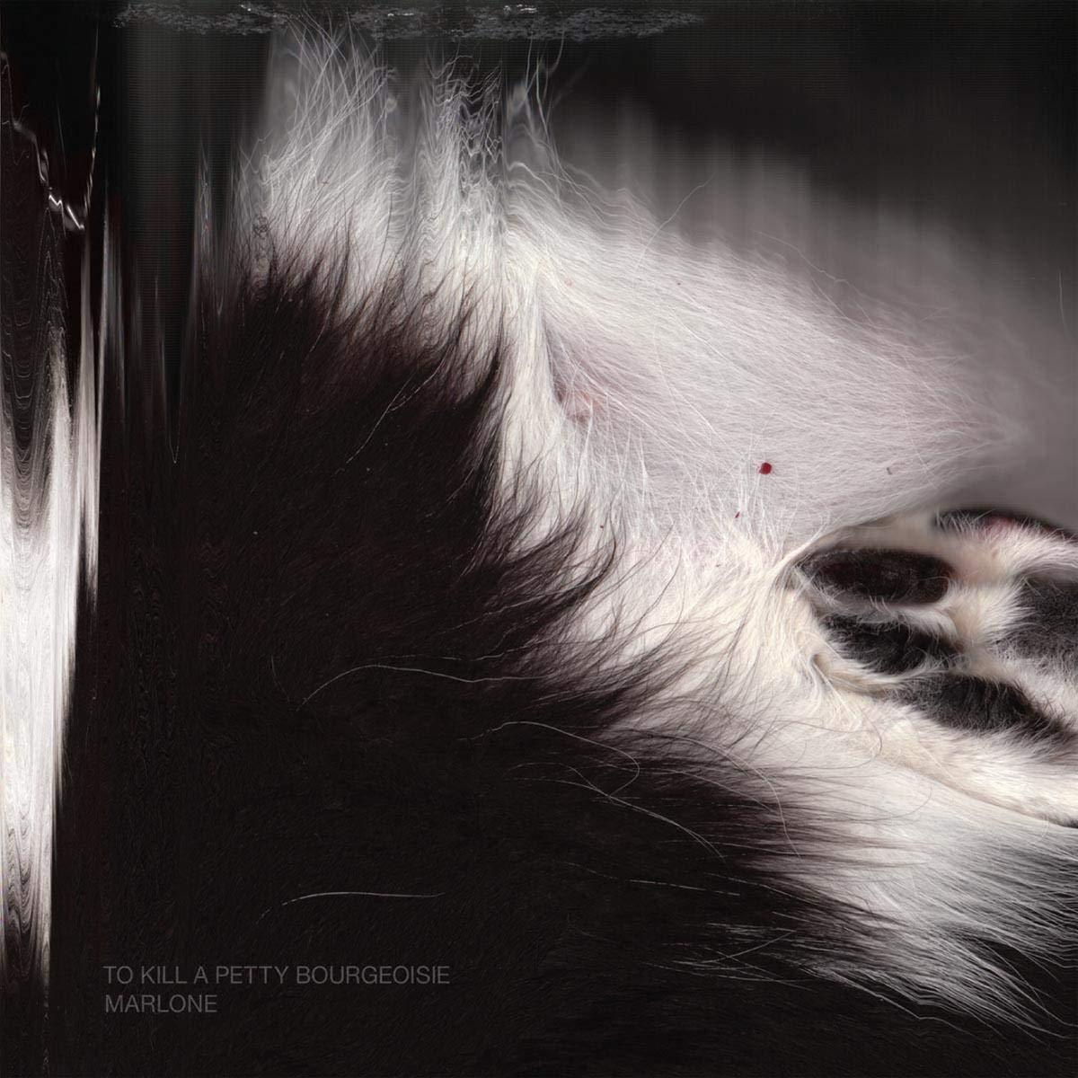 To Kill A Petty Bourgeoisie - Marlone - Cd
