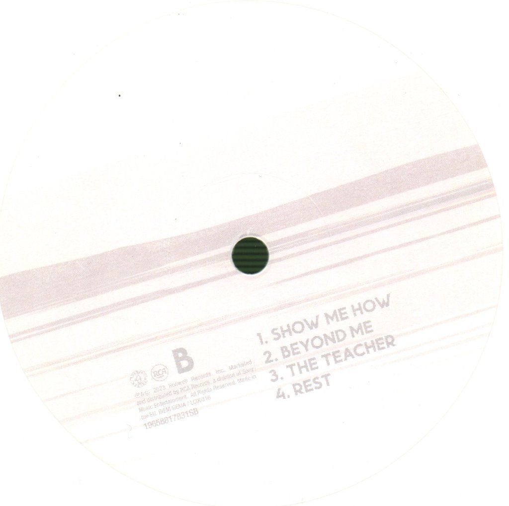 Foo Fighters - But Here We Are - Lp