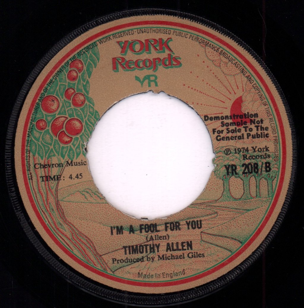 timothy allen - well i wish - 7 Inch