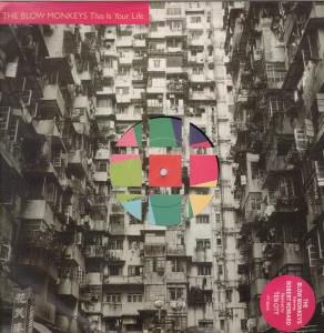 Blow Monkeys - This Is Your Life - 12 Inch