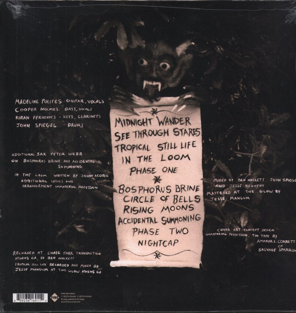 Immaterial Possession - Immaterial Possession - Lp