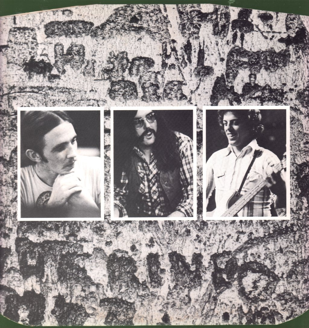 Rory Gallagher - Against The Grain - Lp